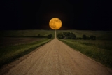 Photos so Amazing You’ll Think They’re Photoshopped