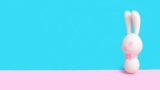 The Right Rabbit Vibrator For the Year of the Rabbit: How to Choose That You Like