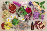 Top 10 Essential Oils: The Complete Beginners Guide