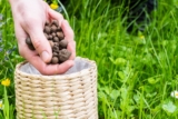 The Ultimate Guide to Using Expanded Clay Balls in Your Garden