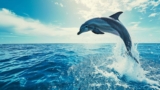 Why Do Dolphins Jump? Insights from Marine Biology