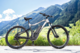 E-Bike Enthusiasts: Profiling the Diverse Buyers