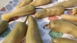 How to Make Dried White Chili at Home | Druk Girl